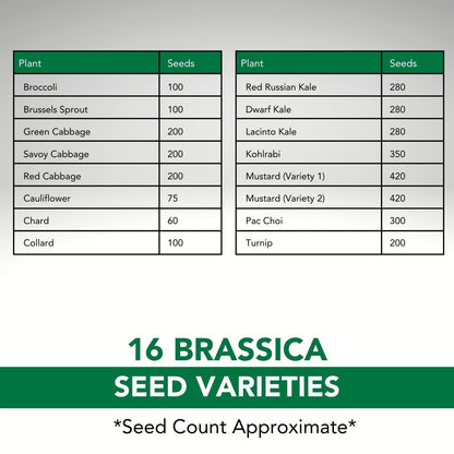 Canadian Wildflower 14 Individually Packed Varieties - 4000+ Seeds - Annual & Perennial Varieties for Planting in Canada - Non-GMO Bird Butterfly Bees