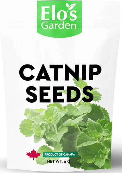 Catnip Seeds 6g – Product of Canada| 100% Natural, Easy-to-Grow Seeds for Happy Cats and Herbal Gardens by ELO’S Garden