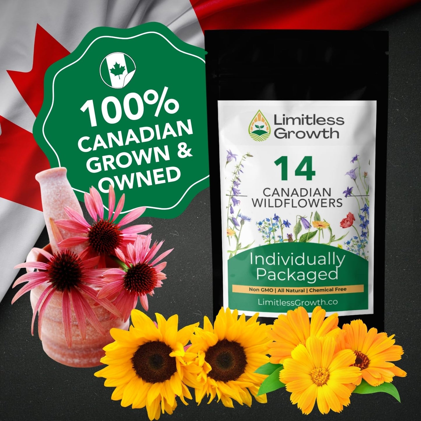 Canadian Wildflower 14 Individually Packed Varieties - 4000+ Seeds - Annual & Perennial Varieties for Planting in Canada - Non-GMO Bird Butterfly Bees