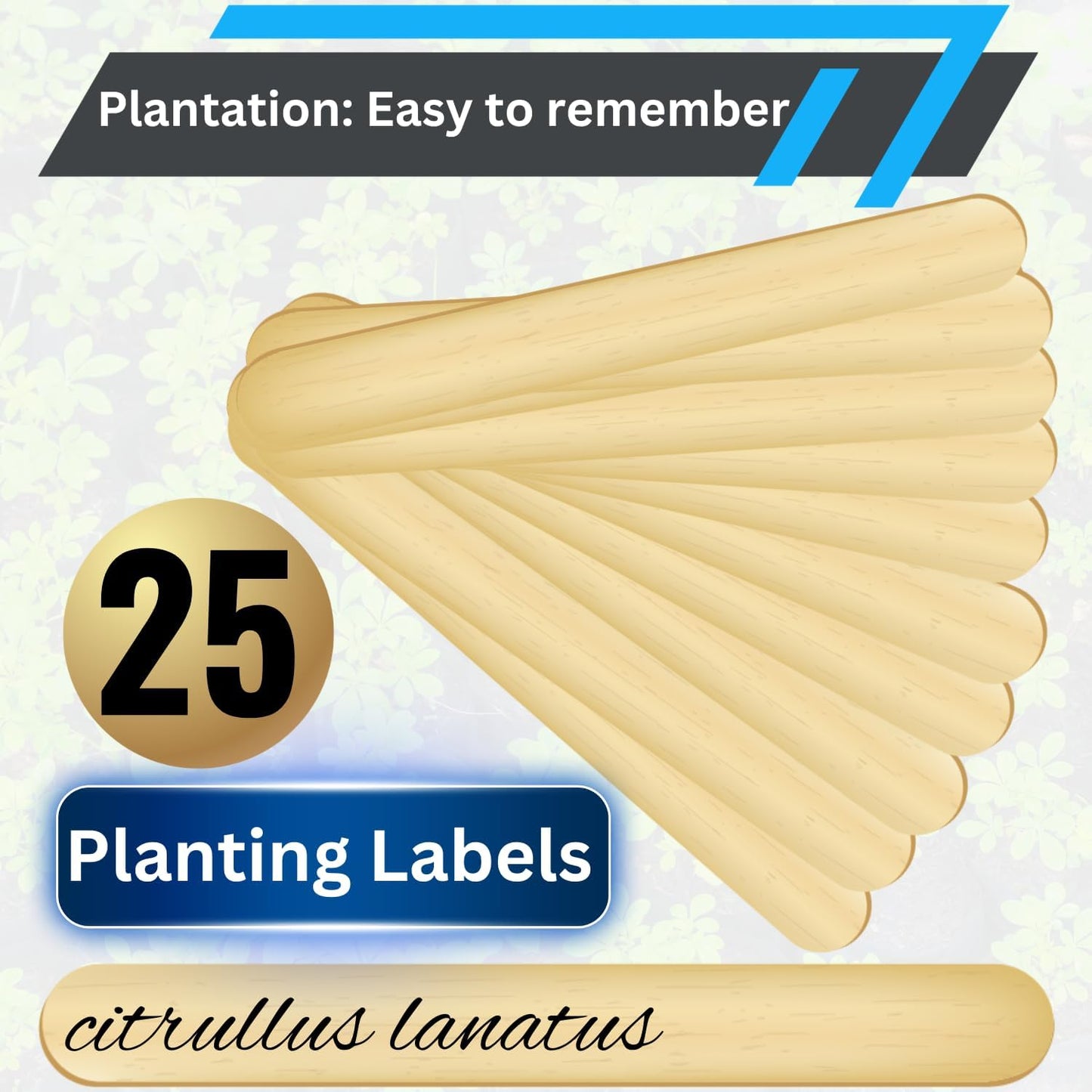 25 Packs Sachets Canadian Wild Flowers Varieties Heirloom Seeds Packets Seeds with 25 Planting Labels.