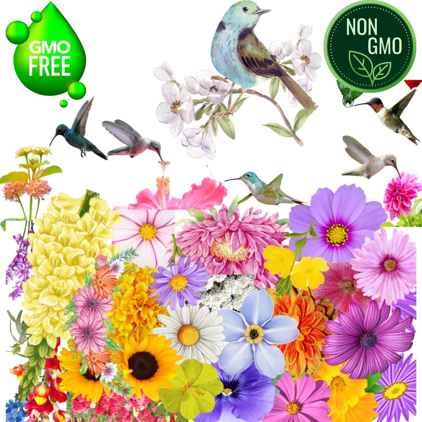 25 Packs Sachets Canadian Wild Flowers Varieties Heirloom Seeds Packets Seeds with 25 Planting Labels.