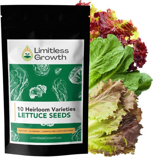 Lettuce Seed Variety Pack - 10 Heirloom Varieties - 10,000+ Seeds! Non-GMO - Romaine, Red Lettuce, Green Lettuce, Iceberg, & More!