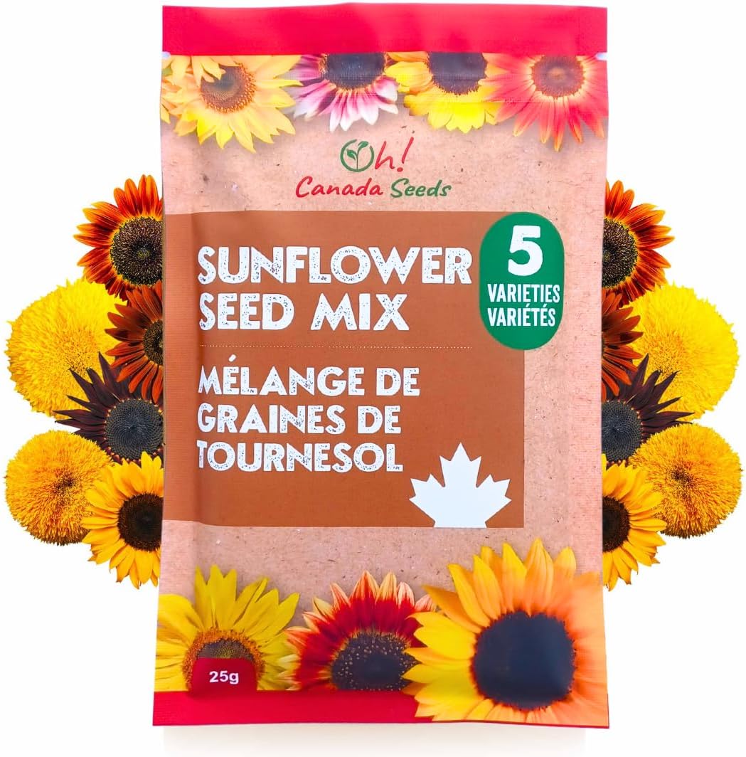 Mixed Sunflower Seeds for Planting Canada - 5 Varieties of Flower Seeds for Your Flower Garden, Flower Seeds for Cut Flowers Pollinator Butterfly and Bird Friendly