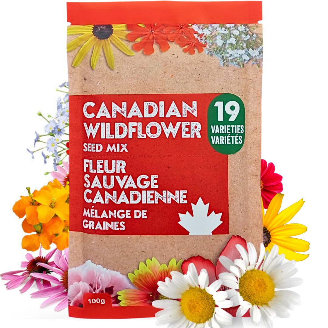 Canadian Wildflower Seeds 3.6 oz - 19 Varieties of Mixed Annual & Perennial Flower Seeds from Oh! Canada Seeds - Graines de Fleurs Sauvages Wild Flowers Seeds Canada Flower Seeds