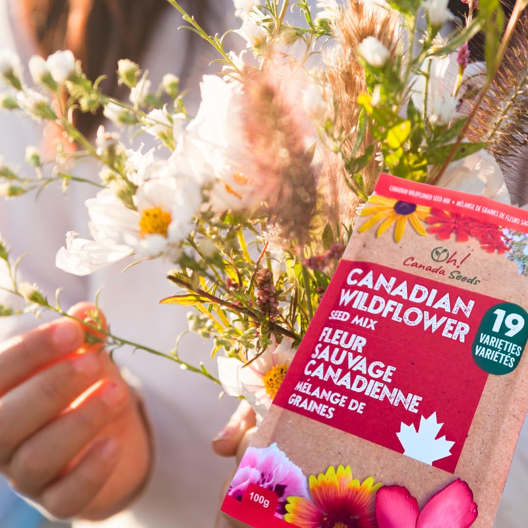 Canadian Wildflower Seeds 3.6 oz - 19 Varieties of Mixed Annual & Perennial Flower Seeds from Oh! Canada Seeds - Graines de Fleurs Sauvages Wild Flowers Seeds Canada Flower Seeds
