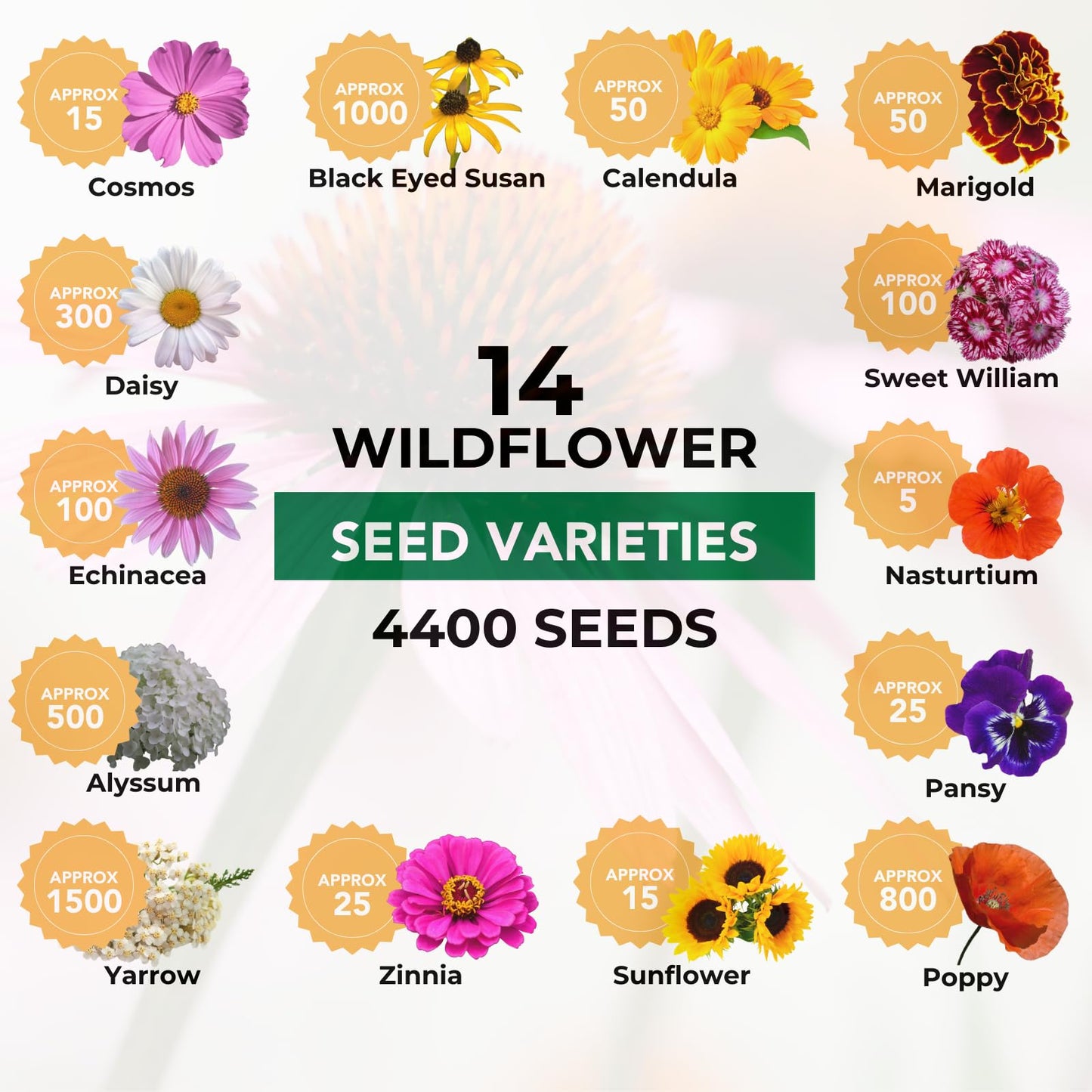 Canadian Wildflower 14 Individually Packed Varieties - 4000+ Seeds - Annual & Perennial Varieties for Planting in Canada - Non-GMO Bird Butterfly Bees