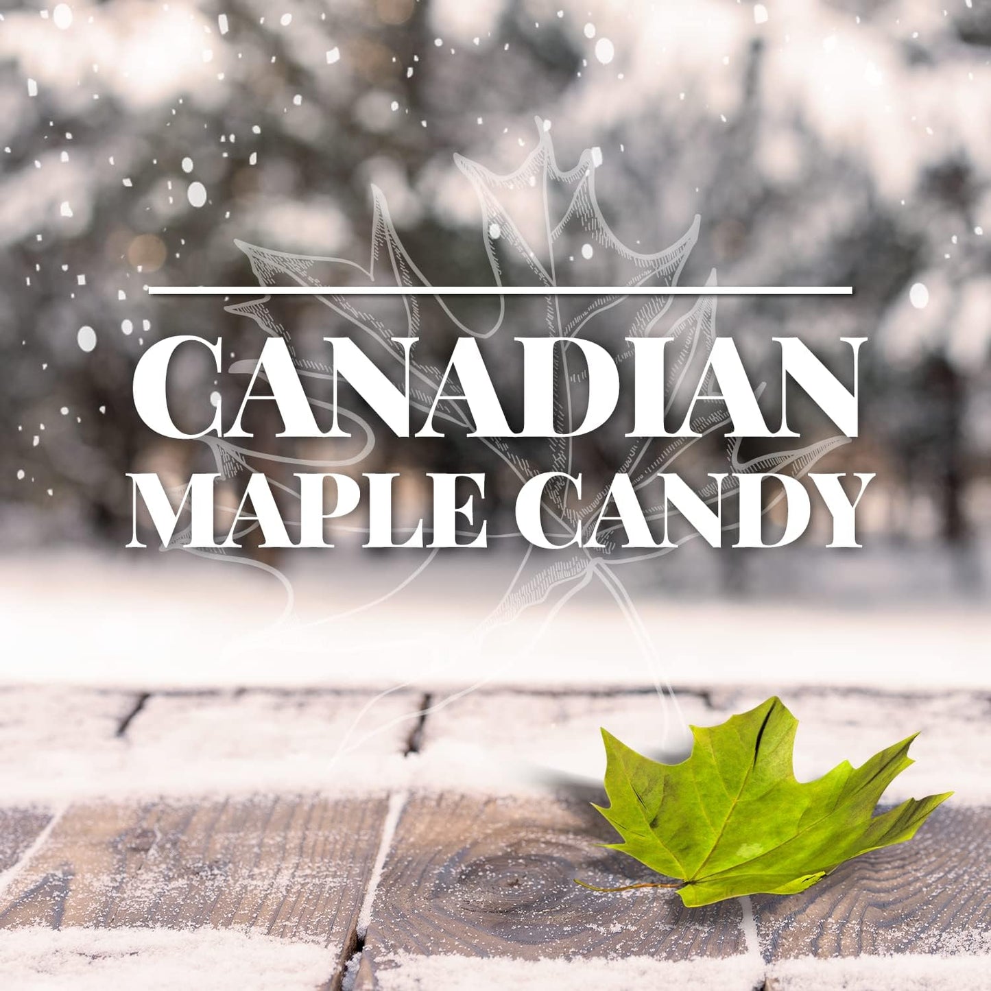 Brien Maple Soft Candy | Maple Sugar Leaf Candy | Vegan Contains No Milk | Made With Grade A Pure Maple Syrup (12 Pieces, Pack of 1)