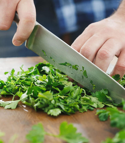 Certified Organic Parsley Seeds 'Giganti di Napoli' by Minigarden – 100% Natural & Non-GMO, High Germination, Open-Pollinated & Reproducible – Perfect for Home Gardens & Farms – 3,000-3,600 Seeds