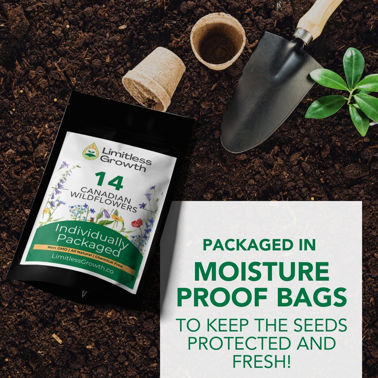 Canadian Wildflower 14 Individually Packed Varieties - 4000+ Seeds - Annual & Perennial Varieties for Planting in Canada - Non-GMO Bird Butterfly Bees