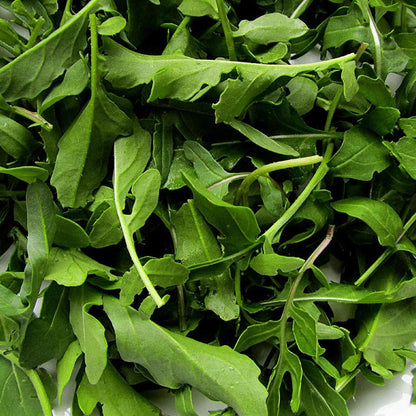 Certified Organic Cultivated Arugula Rocket Seeds – 100% Natural & Non-GMO, High Germination, Open-Pollinated & Reproducible – Perfect for Home Gardens & Farms – 2,000-2,750 Seeds