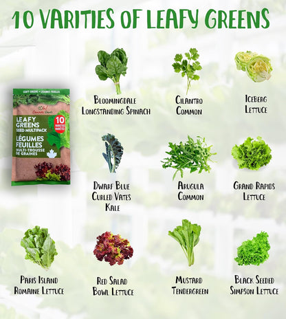 Leafy Greens Variety Pack – Hydroponic/Indoor/Outdoor. Heirloom Lettuce Seeds, Spinach Seeds, Arugula Seeds, Kale Seeds and More | Oh! Canada Seeds | Seeds for Planting
