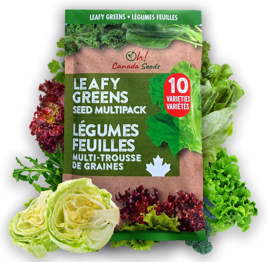 Leafy Greens Variety Pack – Hydroponic/Indoor/Outdoor. Heirloom Lettuce Seeds, Spinach Seeds, Arugula Seeds, Kale Seeds and More | Oh! Canada Seeds | Seeds for Planting