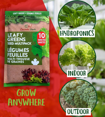 Leafy Greens Variety Pack – Hydroponic/Indoor/Outdoor. Heirloom Lettuce Seeds, Spinach Seeds, Arugula Seeds, Kale Seeds and More | Oh! Canada Seeds | Seeds for Planting
