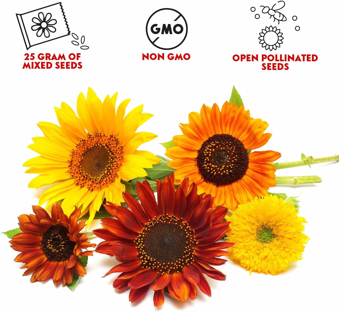 Mixed Sunflower Seeds for Planting Canada - 5 Varieties of Flower Seeds for Your Flower Garden, Flower Seeds for Cut Flowers Pollinator Butterfly and Bird Friendly