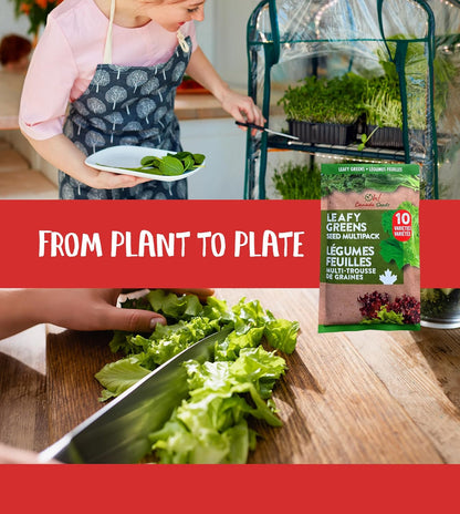 Leafy Greens Variety Pack – Hydroponic/Indoor/Outdoor. Heirloom Lettuce Seeds, Spinach Seeds, Arugula Seeds, Kale Seeds and More | Oh! Canada Seeds | Seeds for Planting
