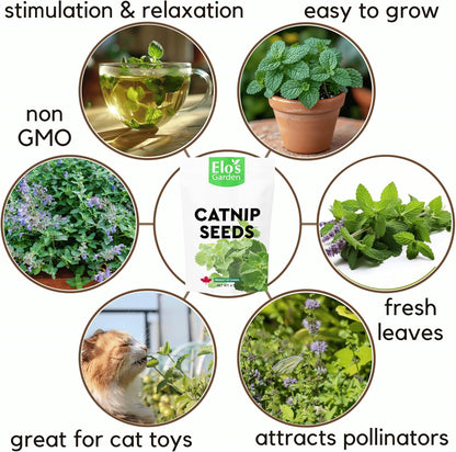 Catnip Seeds 6g – Product of Canada| 100% Natural, Easy-to-Grow Seeds for Happy Cats and Herbal Gardens by ELO’S Garden