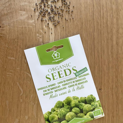 Brussels Sprout Medio enana de la Halle Certified Organic Seeds for Planting, , Contains Between 300 and 250 Seeds