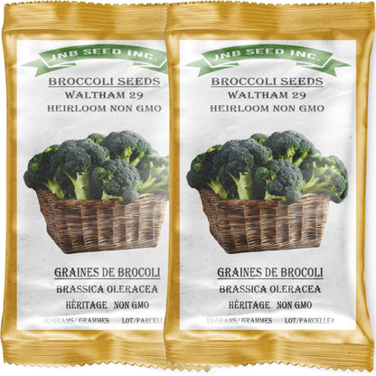 Broccoli Seeds for Planting Waltham 29 (2 Packs Approx. 1200 Seeds-20 Grams) Made in Canada Heirloom Microgreens Heirloom Salad Garnishes Vegetable Gardening