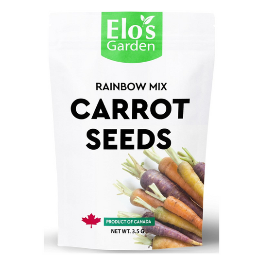 Rainbow Mix Carrot Seeds (3.5g) | Premium Quality Non-GMO Seeds | Vibrant and Nutritious Carrots | Ideal for Home Gardens