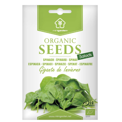 Certified Organic Giant Winter Spinach Seeds by Minigarden – 100% Natural & Non-GMO, High Germination, Open-Pollinated & Reproducible – Perfect for Home Gardens & Farms – Approximately 800 Seeds