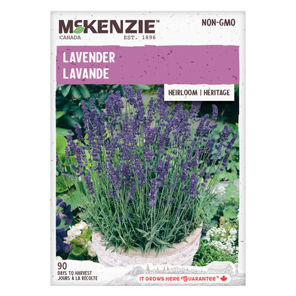 Lavender Seeds Lavandula angustifolia