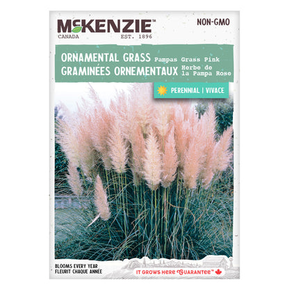 Pampas Grass, Pink Seeds