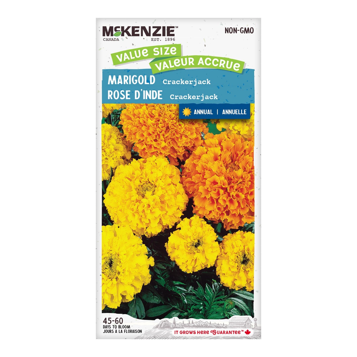 Marigold, Crackerjack Value Size Seeds Tagetes erecta