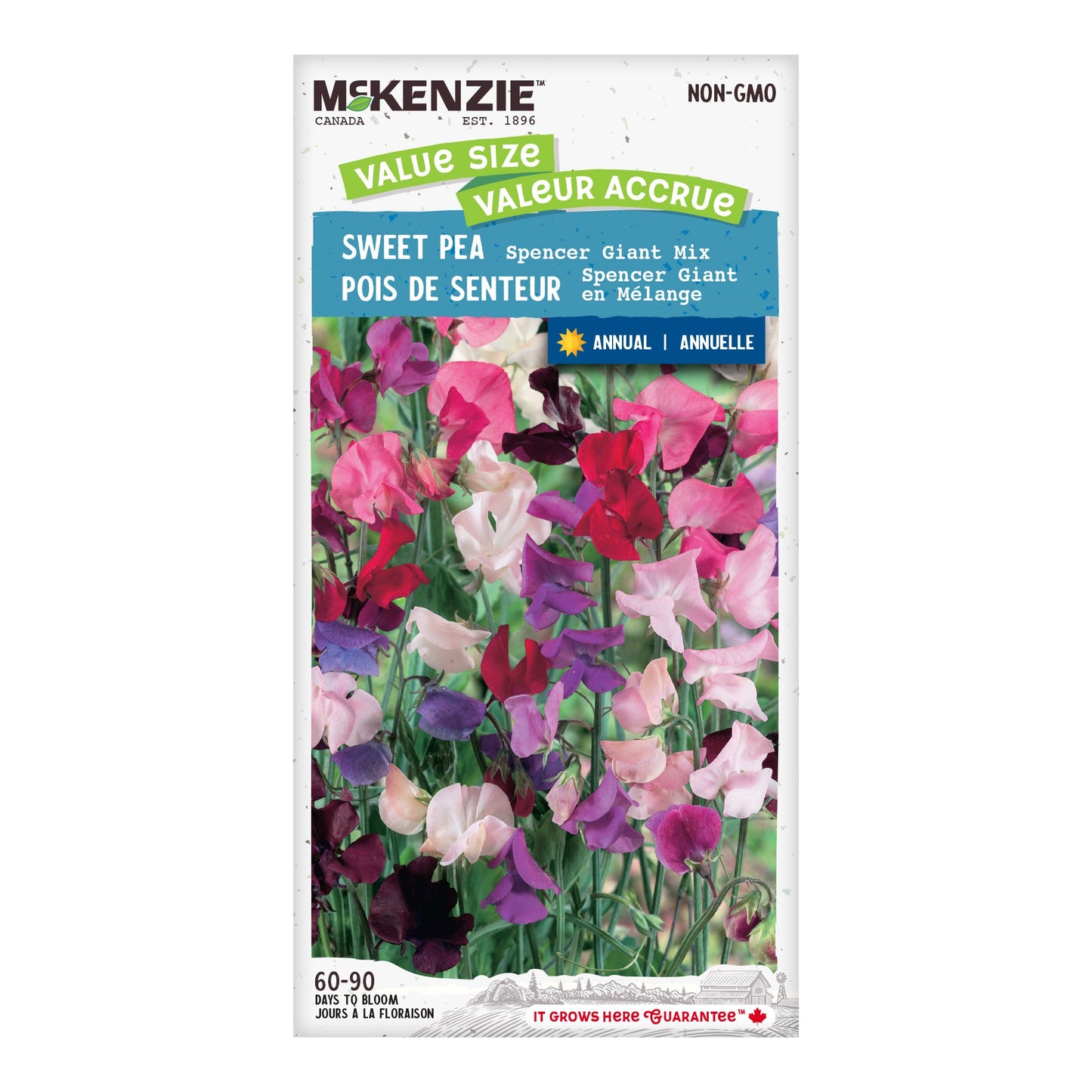 Sweet Pea, Spencer Giant Mix Value Size Seeds Lathyrus odoratus
