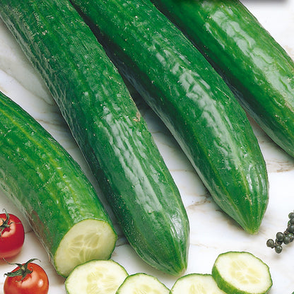 Cucumber, English Long Telegraph Seeds Cucumis sativus