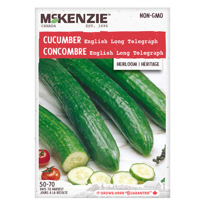 Cucumber, English Long Telegraph Seeds Cucumis sativus