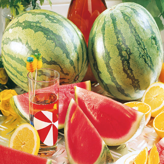 Watermelon, Crimson Sweet Seeds Citrullus lanatus