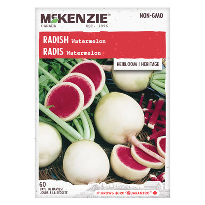 Radish, Watermelon Seeds Raphanus sativus