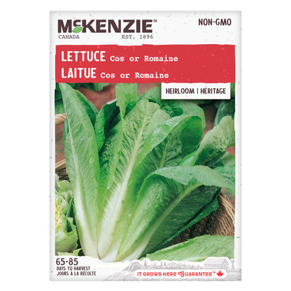 Lettuce, Romaine Seeds Lactuca sativa