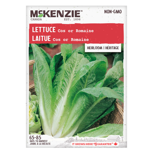 Lettuce, Romaine Seeds Lactuca sativa