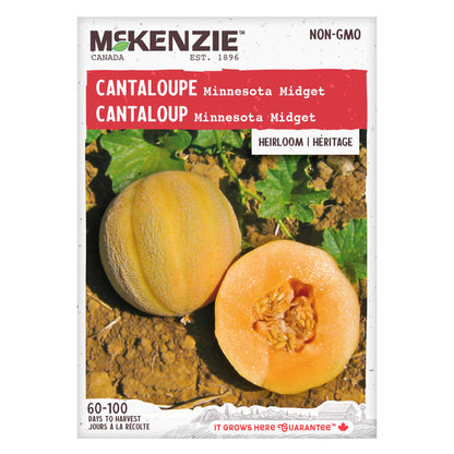Cantaloupe, Minnesota Midget Seeds Cucumis melo
