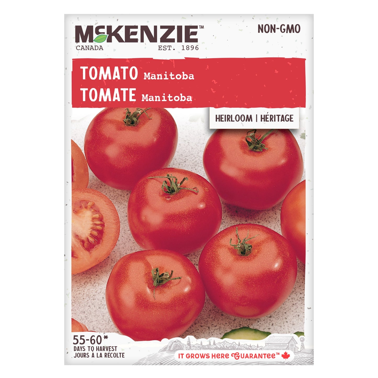 Tomato, Manitoba Seeds Lycopersicon esculentum