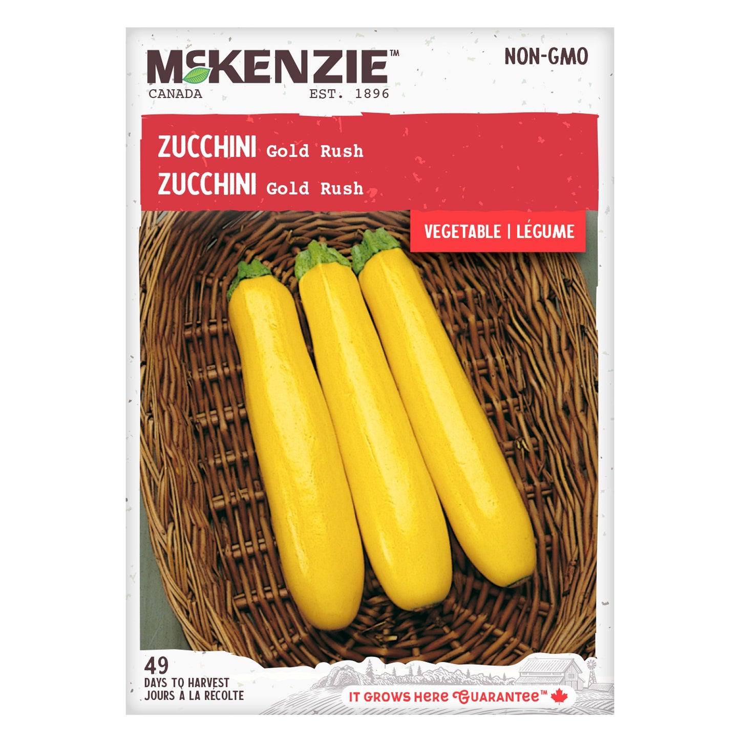 Zucchini, Gold Rush Seeds Cucurbita pepo