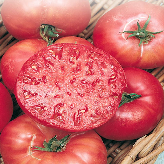 Tomato Seeds, Mortgage Lifter Lycopersicon esculentum